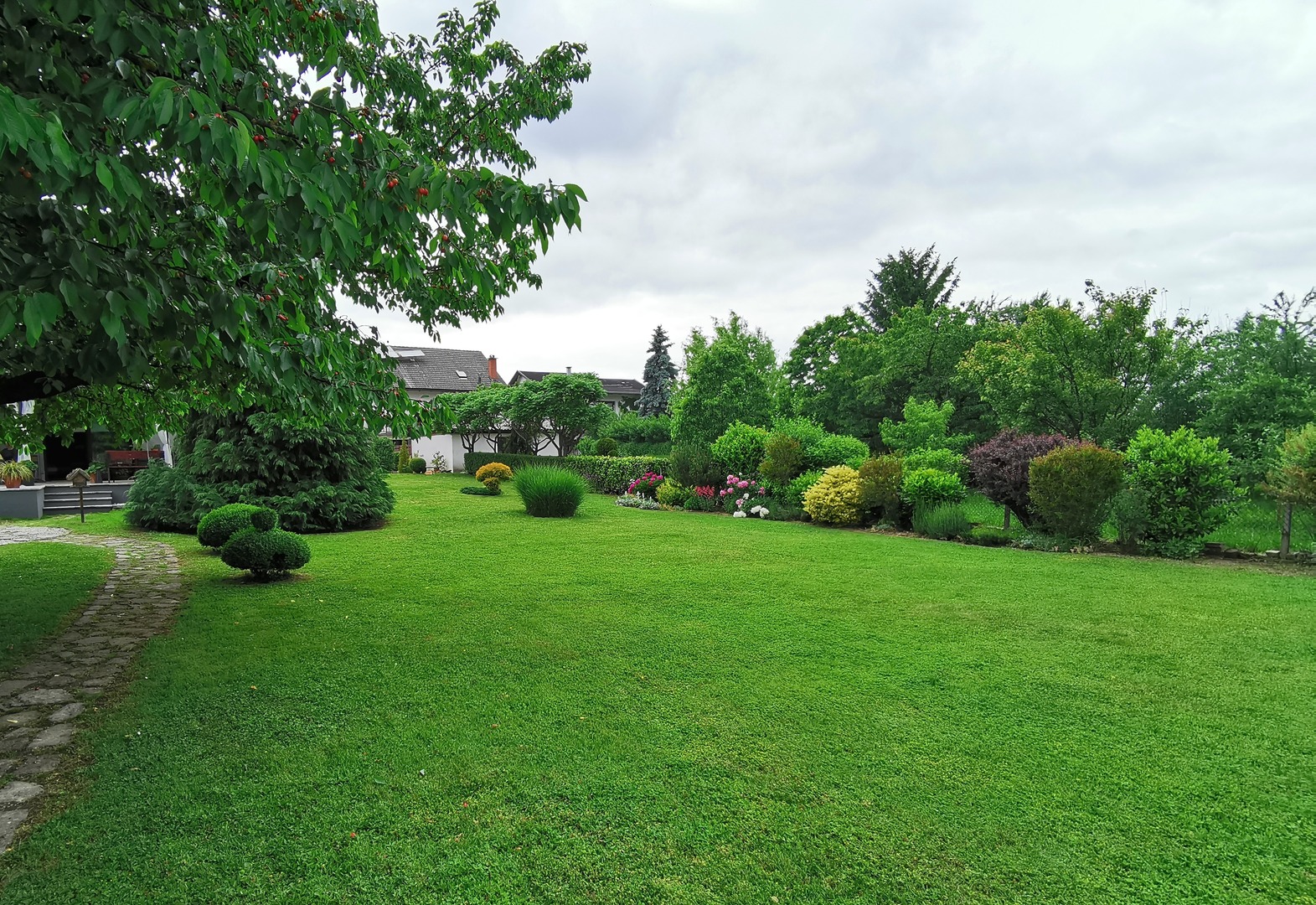green-grass-in-back-yard-of-a-house-beautiful-garden