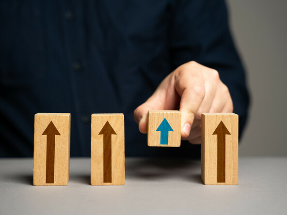 crear oportunidades en 2024